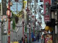Two iconic cities, endless neon: Tokyo x Kyoto Review