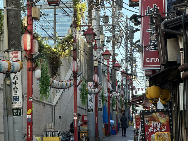 Two iconic cities, endless neon: Tokyo x Kyoto Review