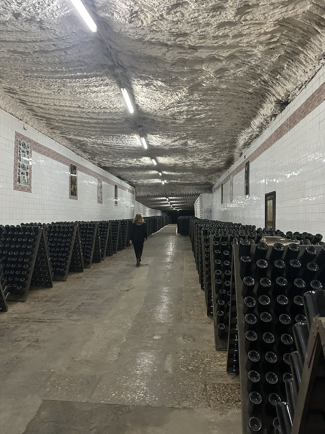🍾 Cricova: Moldova's Sparkling Presidential Cellar