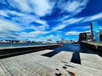 🌞🌿 Oslo in Summer: Fjords & Sunsets  🌿🌞