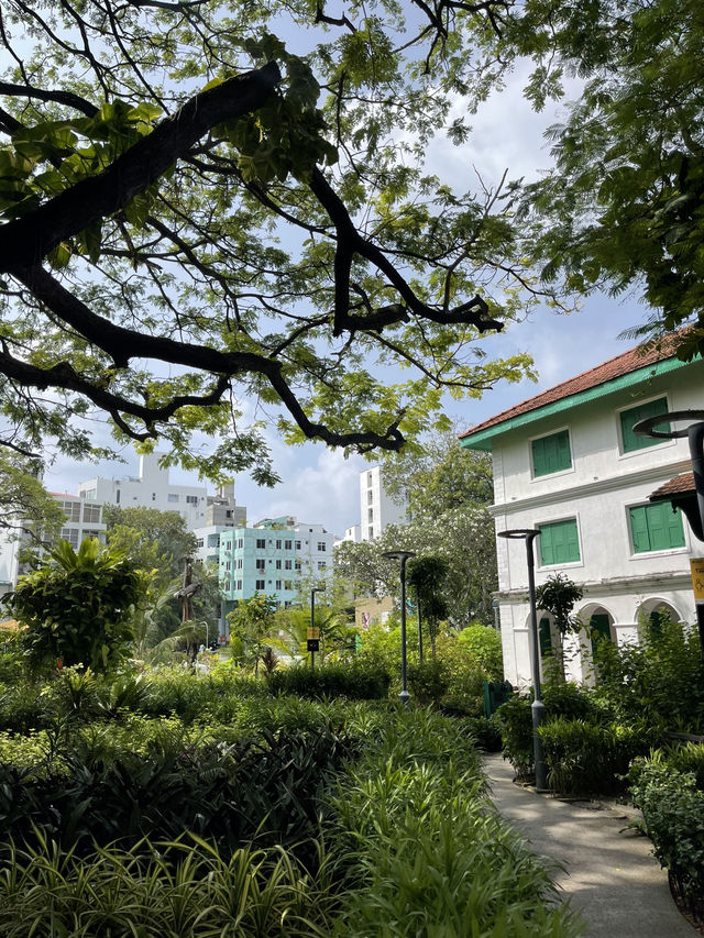 🌿 Malé Parks – Green Escape in the Heart of the Maldives 🌴✨