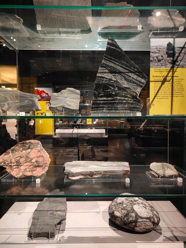 Stone as Storyteller — A Review of the Earth Sciences Gallery at the National Museum of Scotland