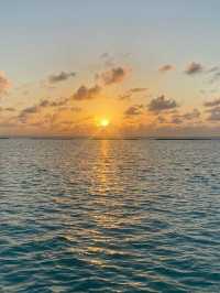 Experience Paradise at Furaveri Island Resort & Spa 