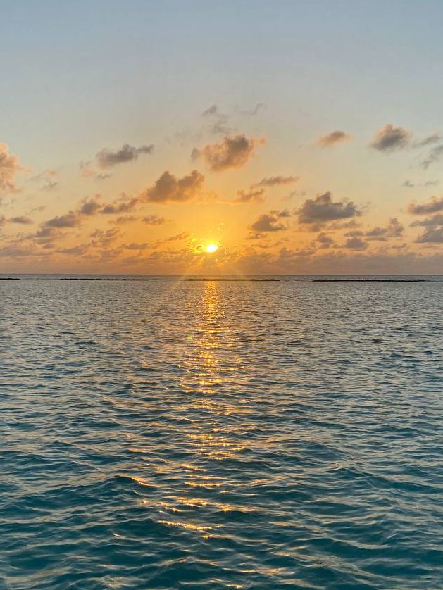 Experience Paradise at Furaveri Island Resort & Spa 