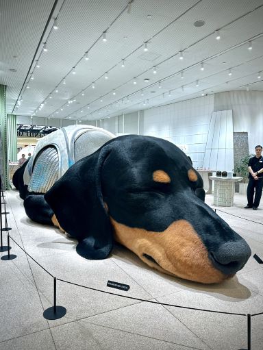 TAMBURINSがバンコクに登場：ダックスフントと美学 | Trip.com バンコク