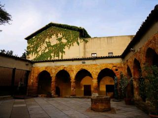 神殿玩具魔法🐸