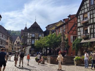 The Fairytale Charm of Alsace: Eguisheim, Riquewihr & Kaysersberg 🏰🍇