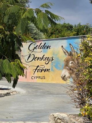 Golden Donkeys Farm 是賽普勒斯一個有趣的小站點 