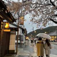 在京都🇯🇵嵐山坐小火車看雨櫻是什麼感覺？