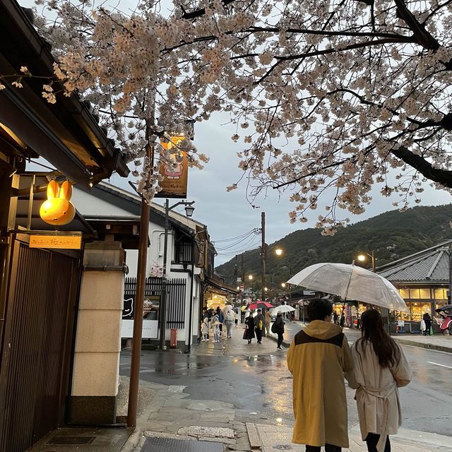 在京都🇯🇵嵐山坐小火車看雨櫻是什麼感覺？
