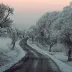 ValerianVoxen123~