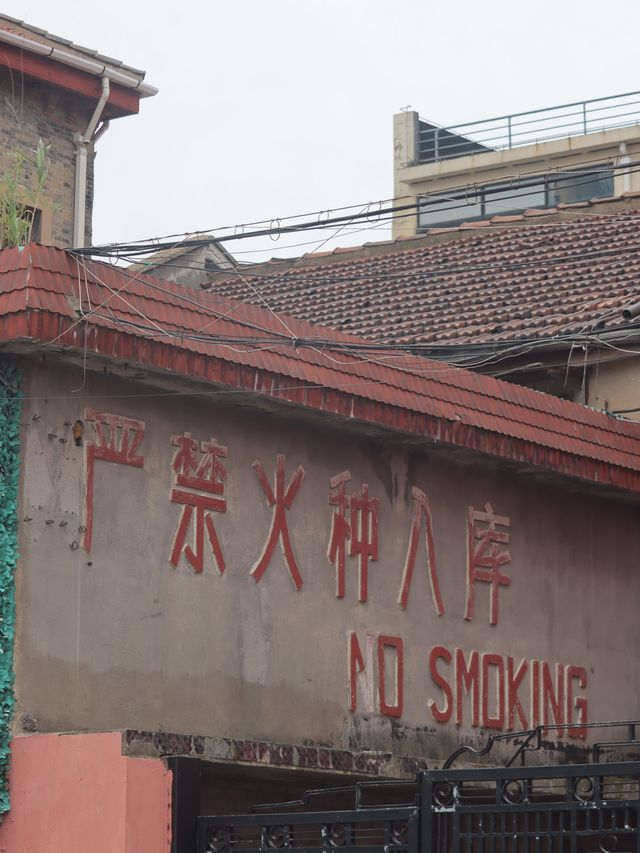 Shanghai Walking Route - Gaoyang Road 📸📍
