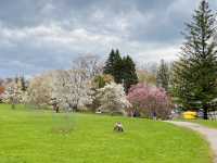 Early spring at the Royal Botanical Gardens in Canada.