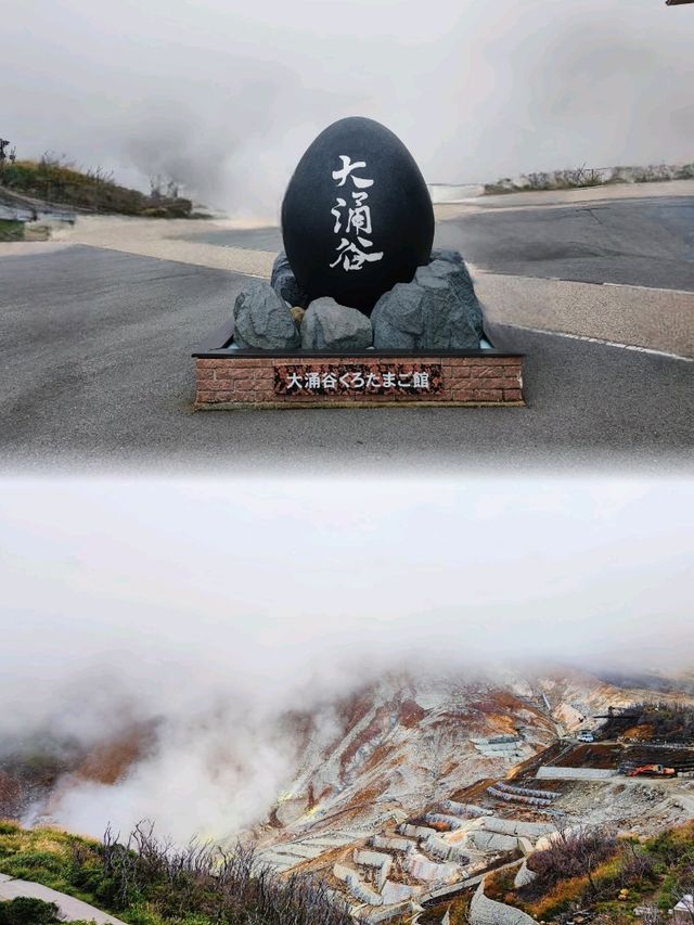 【日本必打卡】遠觀富士山，網紅打卡點一日遊