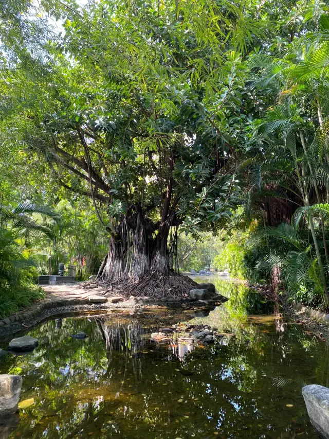 中山岐江公園||城市的後花園·岐江公園