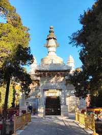 北京最難預約的景點之一西黃寺