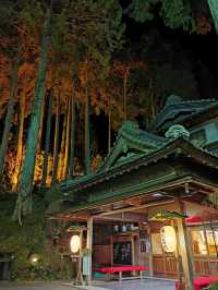 探索日本溫泉之旅：下呂湯之島館，享受自然之美