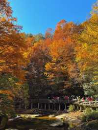 川東北旅行丨尋找四川秋日名片（十八月潭篇）