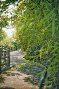 羚羊峽古棧道森林公園：一個富有生命力的綜合性公園