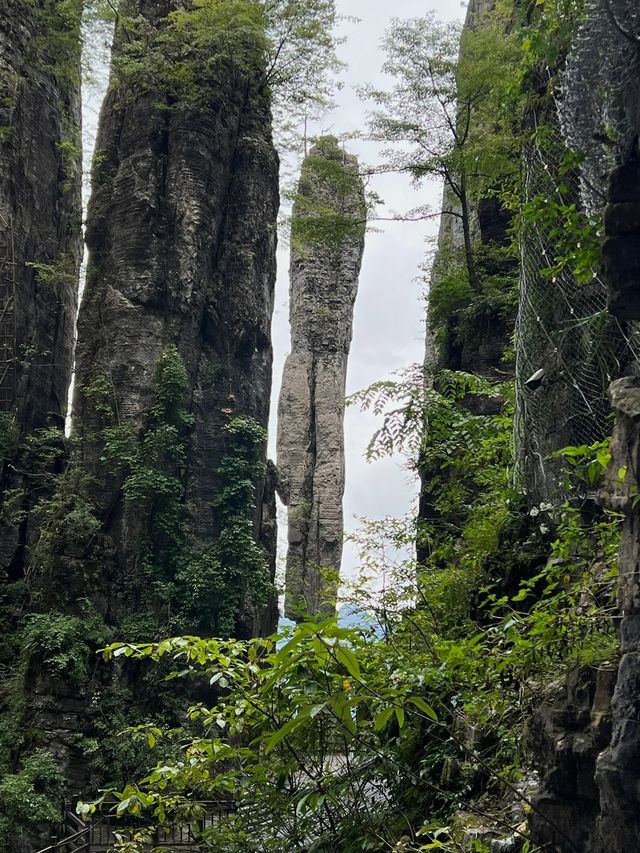 地球上最美傷痕之一