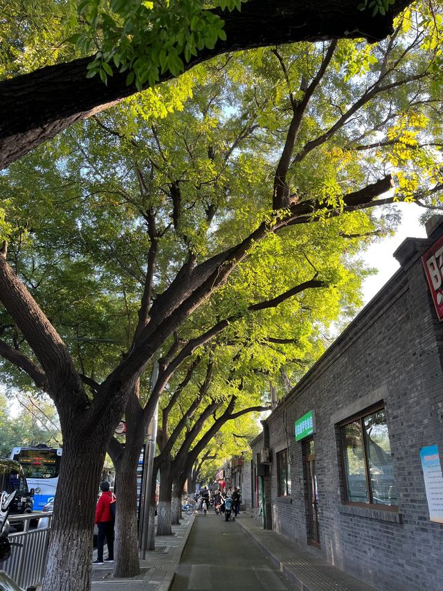 北京秋天適合Citywalk的條絕美胡同
