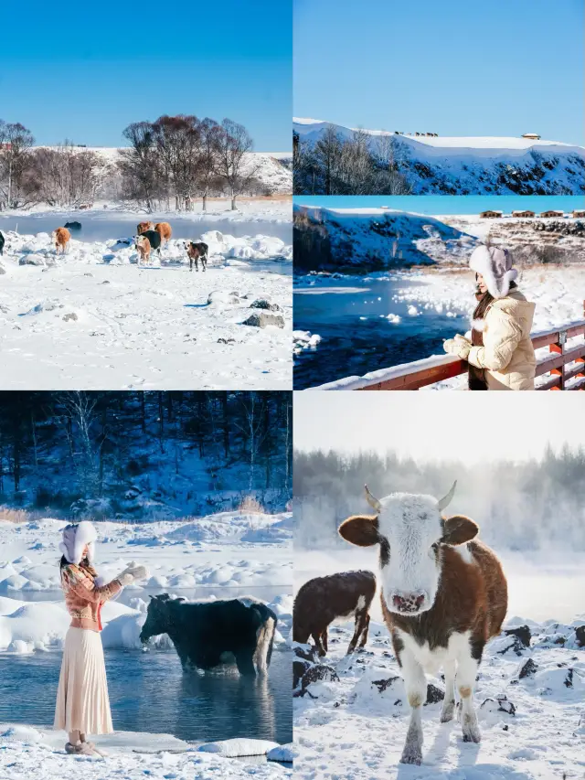 Hulunbuir Self-drive Tour|-40 degrees but not frozen beautiful river