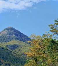 福州茶場山野露營