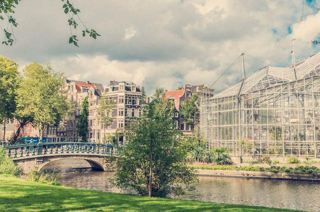 阿姆斯特丹有個全世界最古老的植物園