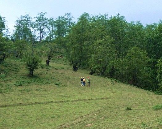 百年古韻，古道悠悠：雲縣茂蘭鎮三大村