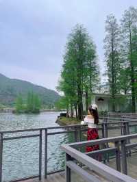 穿漢服、吃水蟹、泡溫泉，太🈵足啦～😊