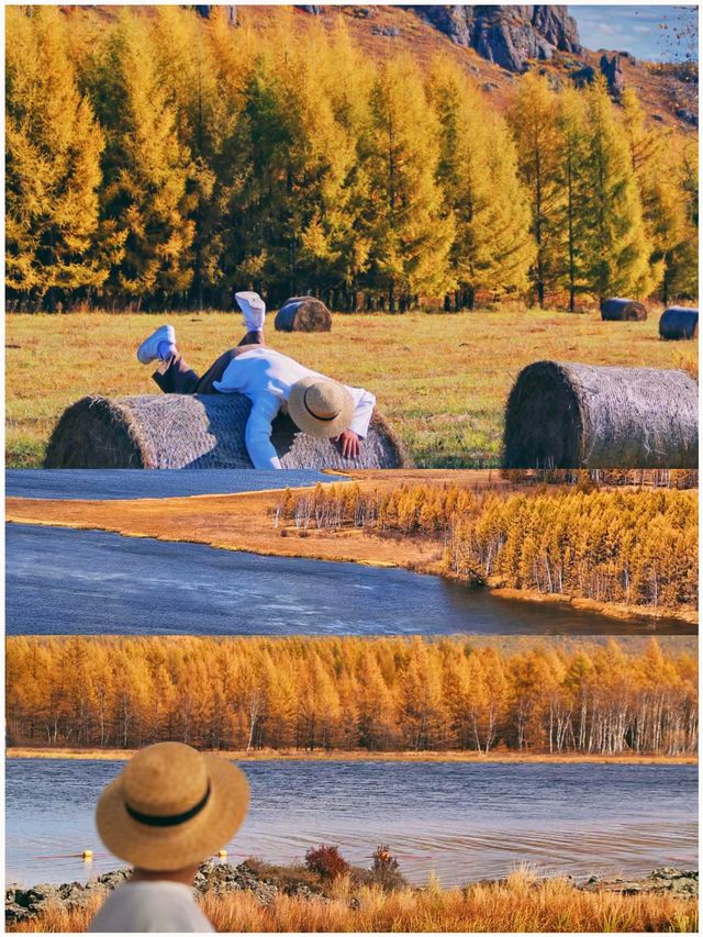 被《國家地理》評為中國最美秋色的阿爾山太值了!!