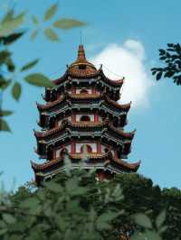 武漢周邊遊｜婁底秋日圖｜青山尋秋（青山公園） 武漢周邊婁底藏著這麼一處有秋意的公園 雨後天氣晚來秋