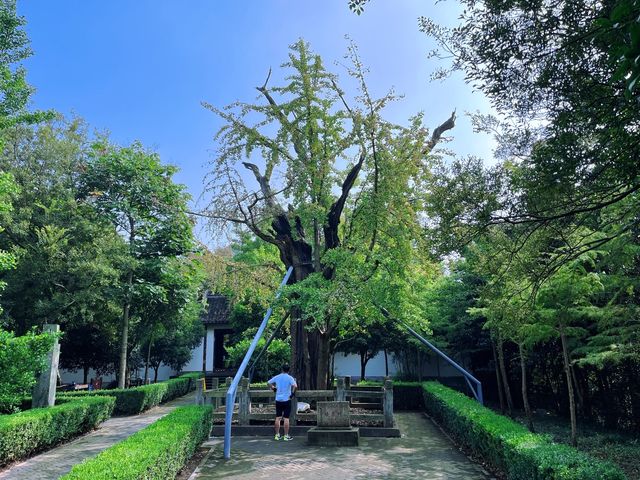 向塔而行,上海的山,上海的斜塔! 向塔而行,上海的山,上海的斜塔!