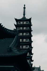 發現上海|真如寺真的好,就是鴿子shi太多咯