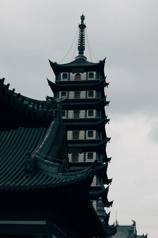 發現上海|真如寺真的好,就是鴿子shi太多咯 發現上海|真如寺真的好,就是鴿子shi太多咯