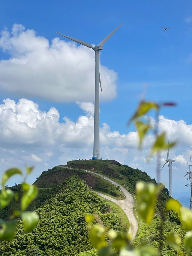 新興風車山｜赴一場完美日落