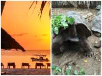 桑給巴爾 | 非洲小眾度假海島