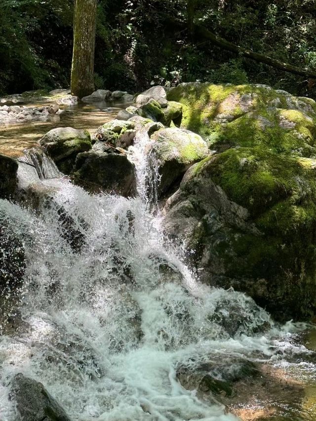 不如一起去徒山 | 牛背梁一日遊