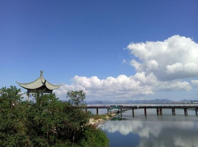 不愧是浙江浪漫公園，恍若山海一色！