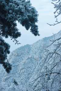 聽說很多人不相信這是廬山的雪景