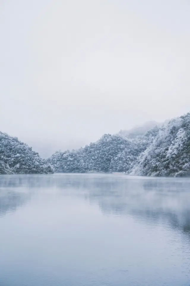 Look at the rime on Yangming Mountain