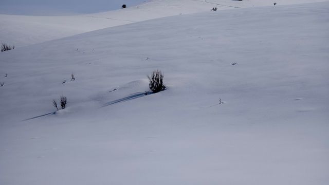 可可托海除了滑雪，還有雪騎