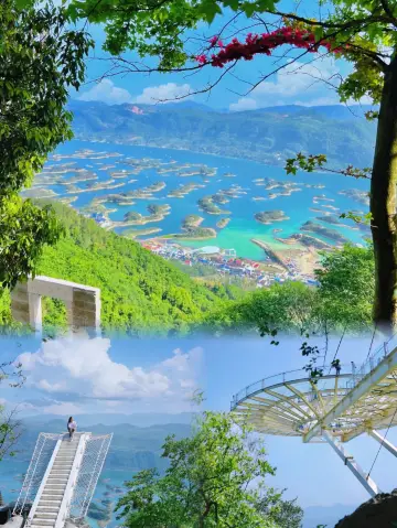 The upcoming Wuhan can be called the ceiling of domestic flower-viewing tourism