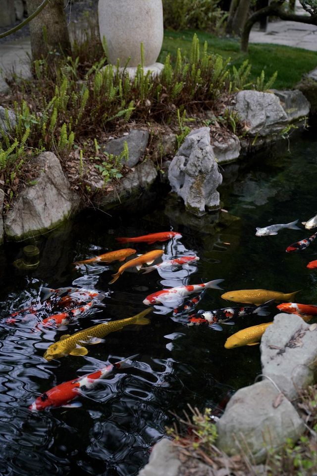 青城山栖息於山水之間的宋式庭院