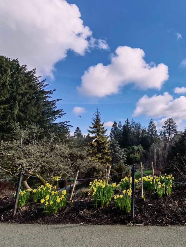 伊麗莎白女王公園，萬種英倫風情盡在其中