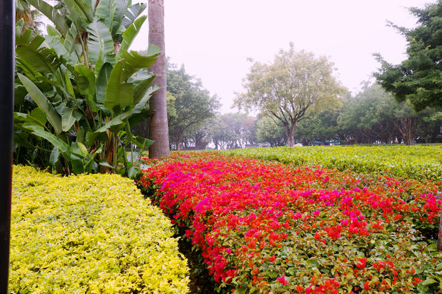 廈門海灣公園
