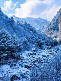 川西厄爾納溝‖南方小土豆的冰雪童話世界