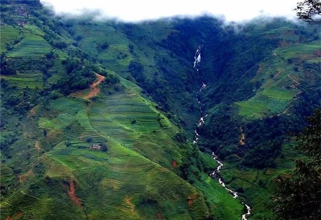 無量山：不管是江湖還是塵世，冬日裡櫻花谷品茶去