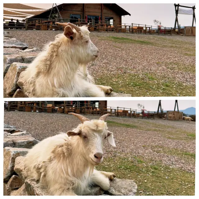 Guangdong niche camping! Super nice space capsule campsite!