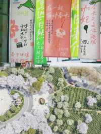 無錫太湖植物園璀璨登場，限時免費暢遊一週